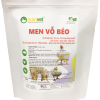 Men Vỗ Béo