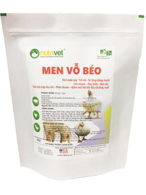 Men Vỗ Béo