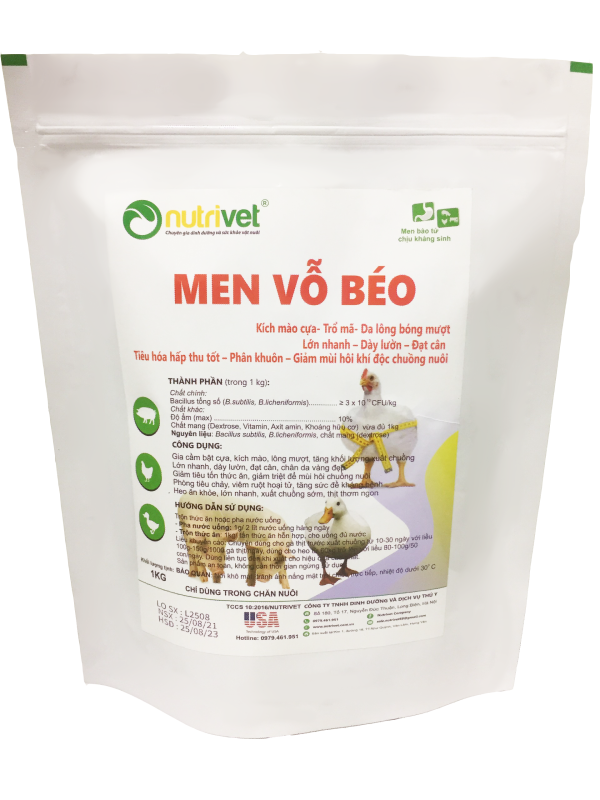 Men Vỗ Béo