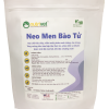 Neo men bào tử