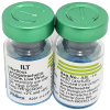 Vaccine-phong-benh-ILT