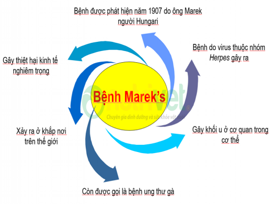 benh-marek
