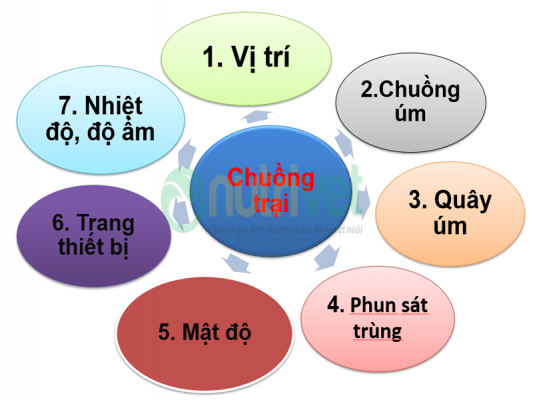 Tieu - chi-chuong-trai-tranh-bi-um-ga